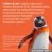 Zdjęcie produktu - #1 Padma Basic, 100 kaps.