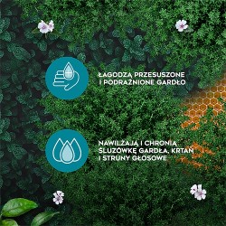 Zdjęcie produktu - #4 Amolowe Na gardło ziołowe pastylki do ssania, 16 szt.