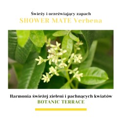 Zdjęcie produktu - #1 Aekyung Showermate Botanic Verbena Żel pod prysznic, 1,2 l