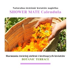 Zdjęcie produktu - #1 Aekyung Showermate Botanic Calendula Żel pod prysznic, 1,2 l