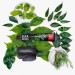 Zdjęcie produktu - #0 SPLAT BLACKWOOD Czarna pasta wybielajaca - 75 ml