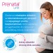 Zdjęcie produktu - #1 Prenatal UNO &ndash; planowanie i 1. trymestr ciąży, 30 kapsułek