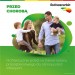 Zdjęcie produktu - #2 Rutinoscorbin, 150 tabletek