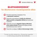 Zdjęcie produktu - #3 BlephaDemodex chusteczki do higieny powiek i rzęs, 30szt.