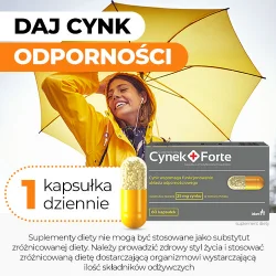 #6 – Cynek+ Forte, 60 kaps.