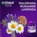 Zdjęcie produktu - #5 Vicks ZzzQuil Natura, 30 żelek - z melatoniną