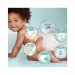 Zdjęcie produktu - #1 Pampers Premium Care Pieluszki rozmiar 3, 120 sztuk