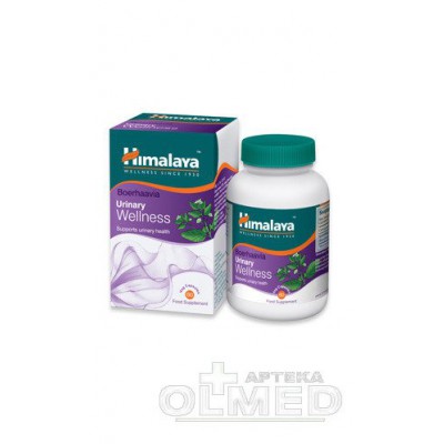 Miniaturka artykułu - HIMALAYA Wellness Boerhaavia - 60 kapsułek (29072)