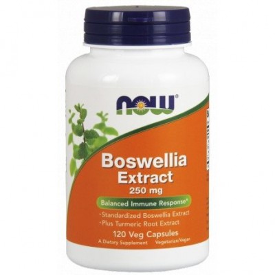 Miniaturka artykułu - NOW Boswellia Extract 250mg- 120kaps.