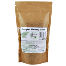 Miniaturka artykułu - NaturPlanet Ostropest Plamisty Ziarno - 250g