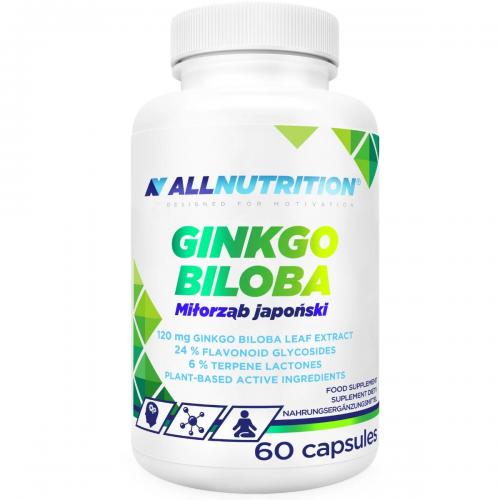 Miniaturka artykułu - Allnutrition Ginkgo Biloba Miłorząb japoński, 60 kaps.