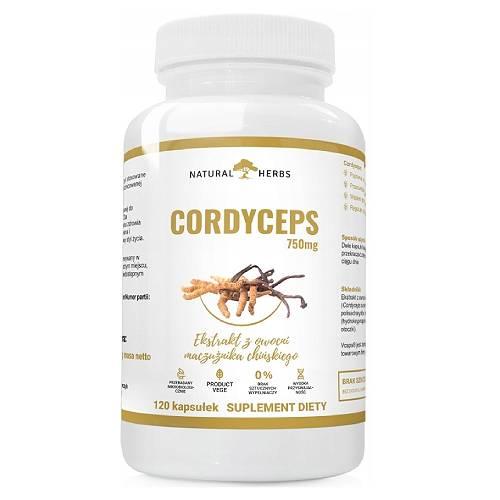 Miniaturka artykułu - ALTO PHARMA Cordyceps, 120 kaps.