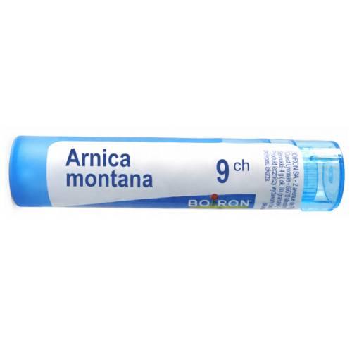 Miniaturka artykułu - BOIRON Arnica montana 9 CH granul. 1g (pojemnik jednodawkowy)