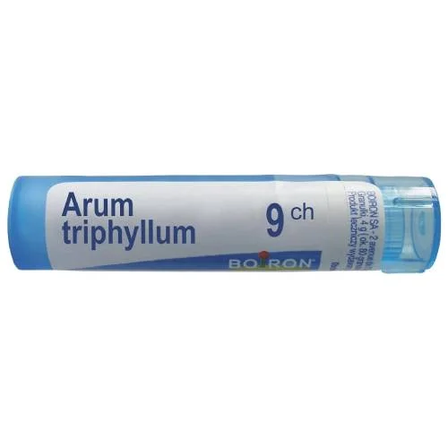 Miniaturka artykułu - BOIRON Arum triphyllum 9 CH granulki 4 g ( około 80 granulek)