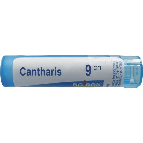 Miniaturka artykułu - BOIRON Cantharis 9 CH 4g (około 80 granulek)