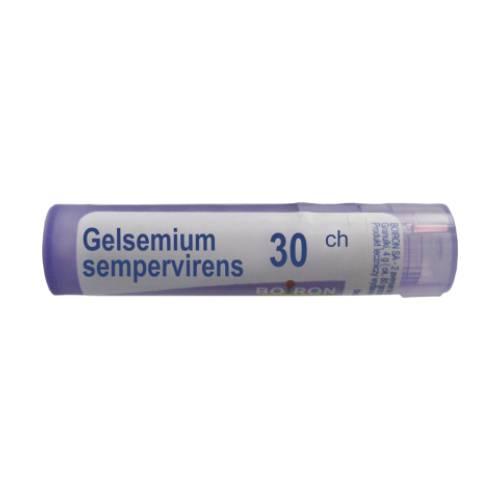 Miniaturka artykułu - BOIRON Gelsemium Sempervirens 30 CH 4g (około 80 granulek)