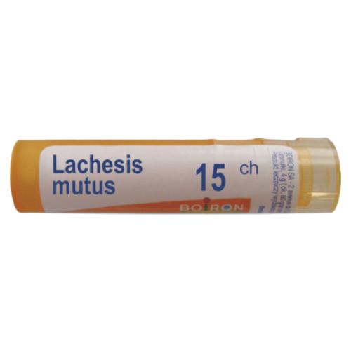 Miniaturka artykułu - BOIRON Lachesis Mutus 15 CH granulki 4 g (około 80 granulek)
