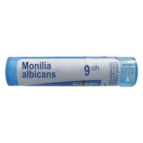Miniaturka artykułu - BOIRON Monilia Albicans 9 CH granulki 4g (około 80 granulek)