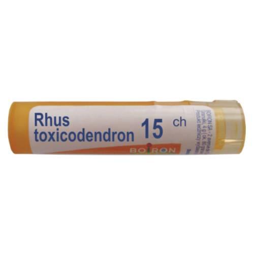 Miniaturka artykułu - BOIRON Rhus Toxicodendron 15 CH granulki 4g (około 80 granulek)