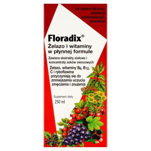 Miniaturka artykułu - FLORADIX Żelazo i witaminy - 250 ml