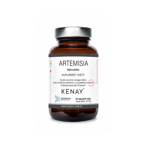 Miniaturka artykułu - Kenay Artemisia Bylica piołun, 60 kaps.