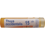 Zdjęcie produktu - BOIRON Thuya Occidentalis 15 CH granulki 4g (ok. 80 granulek)