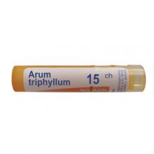 Zdjęcie produktu - BOIRON Arum triphyllum 15 CH granulki 4g (około 80 granulek)