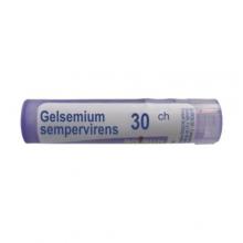 Zdjęcie produktu - BOIRON Gelsemium Sempervirens 30 CH 4g (około 80 granulek)
