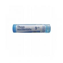 Zdjęcie produktu - BOIRON Thuya Occidentalis 9 CH granulki 4g (ok. 80 granulek)