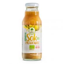 Zdjęcie produktu - DARY NATURY Sok z Pigwowca 100% EKO, 270 ml