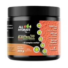 Zdjęcie produktu - ALLHydrate Elektrolity Mango + B complex methyl, 345 g