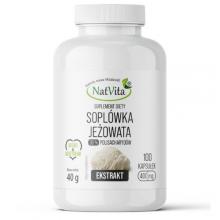 Zdjęcie produktu - NatVita Sopl&oacute;wka Jeżowata Ekstrakt 30%, 100 kaps.