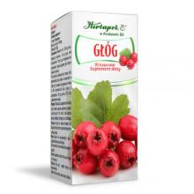 Zdjęcie produktu - HERBAPOL Gł&oacute;g, 30kaps.