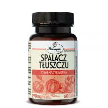 Zdjęcie produktu - Herbapol Spalacz tłuszczu, 60kaps.
