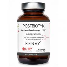 Zdjęcie produktu - KENAY Postbiotyk Lactobacillus plantarum L-137, 60 kaps.