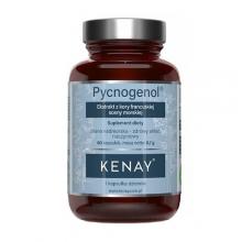Zdjęcie produktu - KENAY Pycnogenol, 60 kaps.