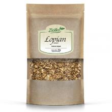 Zdjęcie produktu - Zi&oacute;łko Łopian korzeń, 50 g
