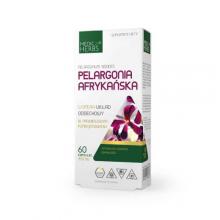 Zdjęcie produktu - Medica Herbs Pelargonia Afrykańska, 60 kaps.