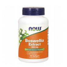 Zdjęcie produktu - NOW Boswellia Extract 500mg, 90 kaps.