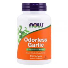 Zdjęcie produktu - NOW Garlic Odorless Czosnek Bezzapachowy, 250 kapsułek