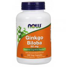 Zdjęcie produktu - NOW Ginkgo Biloba 60mg, 240 kapsułek