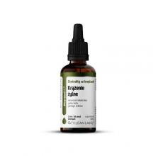 Zdjęcie produktu - Pharmovit Ekstrakty w kroplach Krążenie żylne, 30 ml