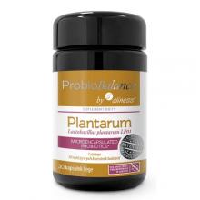 Zdjęcie produktu - Aliness ProbioBalance Lactobacillus plantarum LP01 10 mld, 30 kaps.