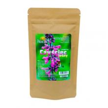 Zdjęcie produktu - PROHERBIS Czyściec leśny - ziele cięte, 50g