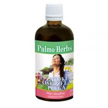 Zdjęcie produktu - Pulmo Herbs zatoki oskrzela płuca, 100 ml