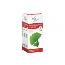 Zdjęcie produktu - Tinctura Ginkgo Bilobae na koncentrację i poprawę pamięci, 100ml