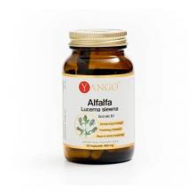 Zdjęcie produktu - Yango Alfalfa Lucerna siewna, 60 kaps.
