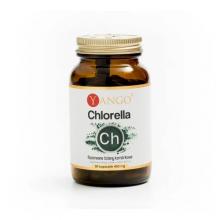 Zdjęcie produktu - YANGO Chlorella, 90 kaps.