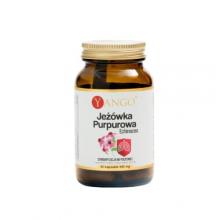 Zdjęcie produktu - YANGO Jeż&oacute;wka Purpurowa Echinacea, 60 kapsułek