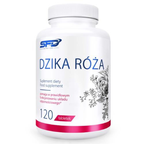 Miniaturka artykułu - SFD Dzika Róża, 120 tabl.
